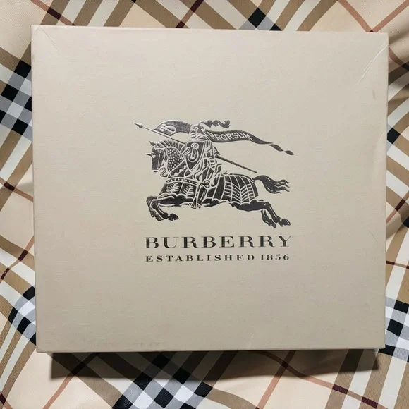 Burberry Soft Brown Suede Buckle Boots - light wear - Picture 3 of 6